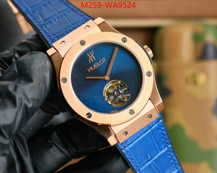 ID: WA9524
