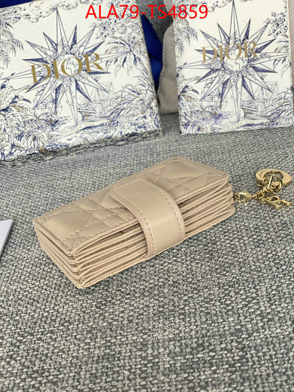 ID: TS4859 $: 79USD,