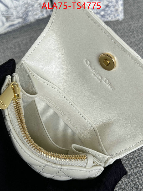 ID: TS4775 $: 75USD,