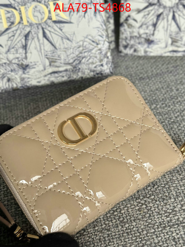 ID: TS4868 $: 79USD,