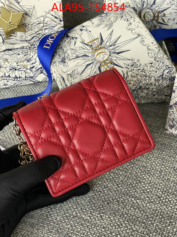 ID: TS4854 $: 95USD,