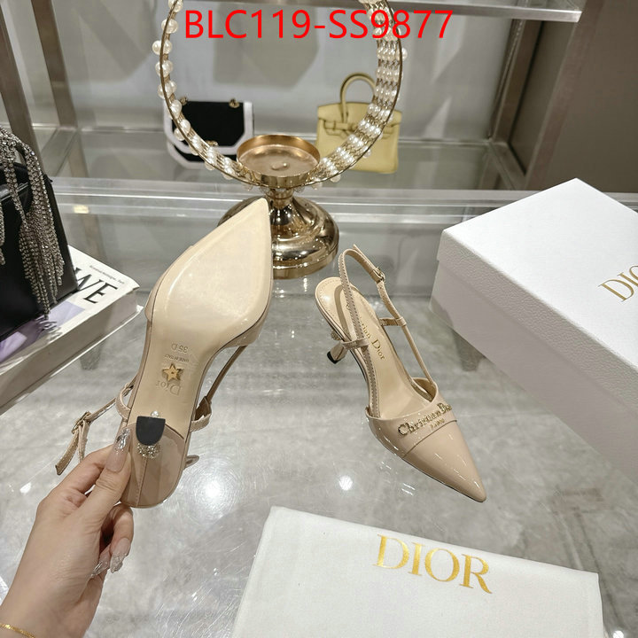 Women Shoes-Dior shop the best high authentic quality replica ID: SS9877 $: 119USD-shoes yupoo Women Shoes-Dior shop the best high authentic quality replica ID: SS9877 $: 119USD