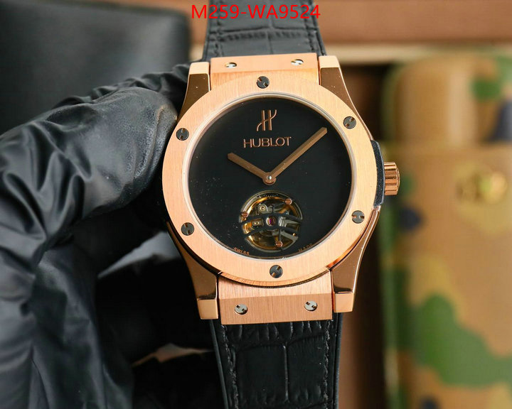 ID: WA9524