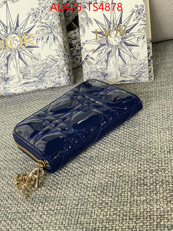 ID: TS4878 $: 75USD,