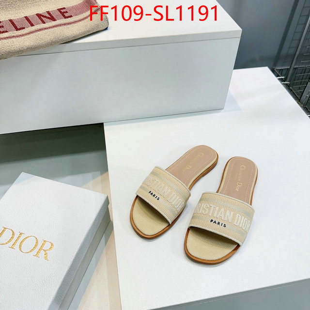 Women Shoes-Dior where to buy high quality ID: SL1191 $: 109USD
