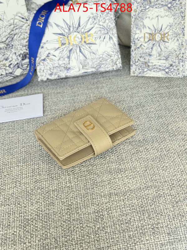 ID: TS4788 $: 75USD,