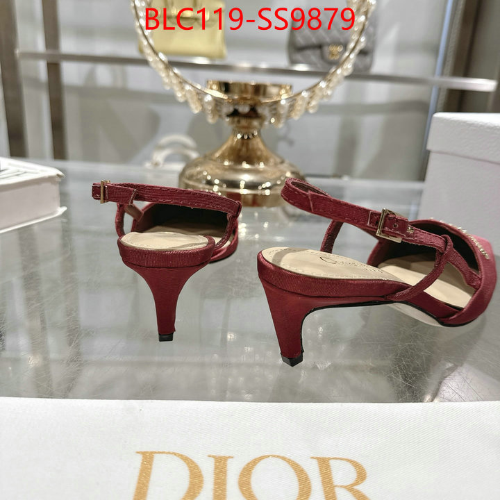 Women Shoes-Dior fashion replica ID: SS9879 $: 119USD-shoes yupoo Women Shoes-Dior fashion replica ID: SS9879 $: 119USD