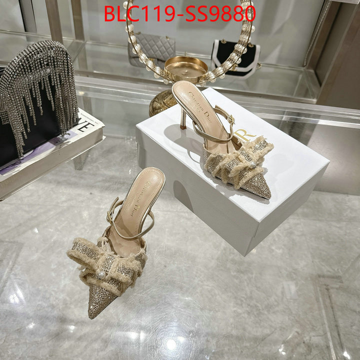 Women Shoes-Dior store ID: SS9880 $: 119USD