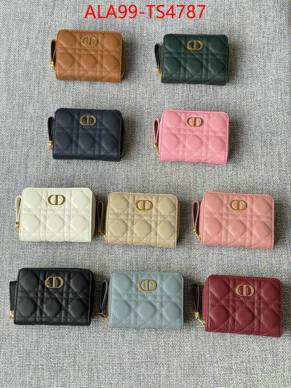 ID: TS4787 $: 99USD,