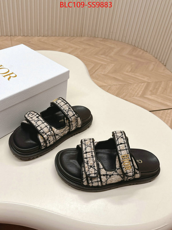 Women Shoes-Dior for sale online ID: SS9883 $: 109USD