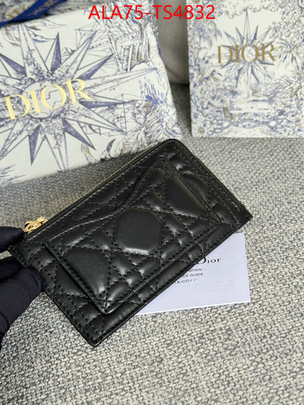 ID: TS4832 $: 75USD,