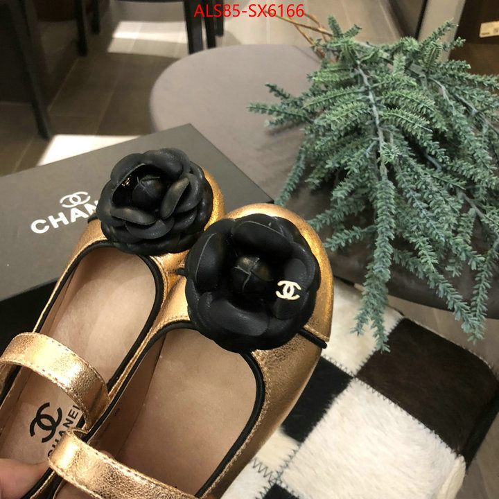 ID: SX6166