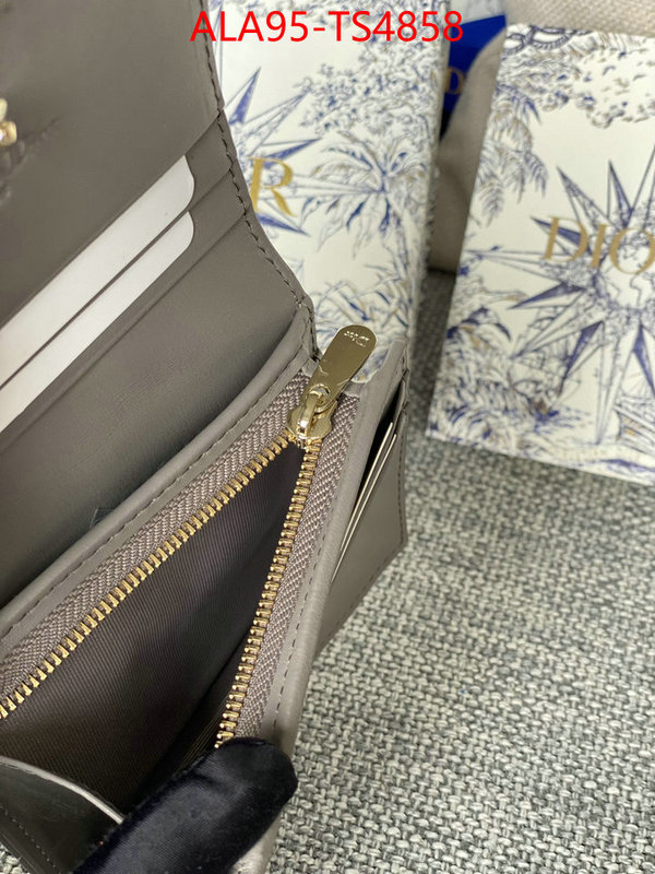 ID: TS4858 $: 95USD,