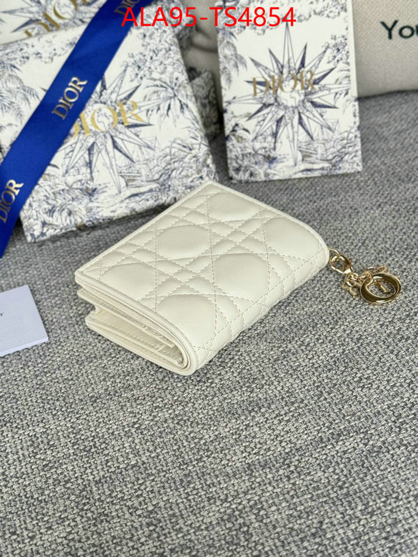 ID: TS4854 $: 95USD,