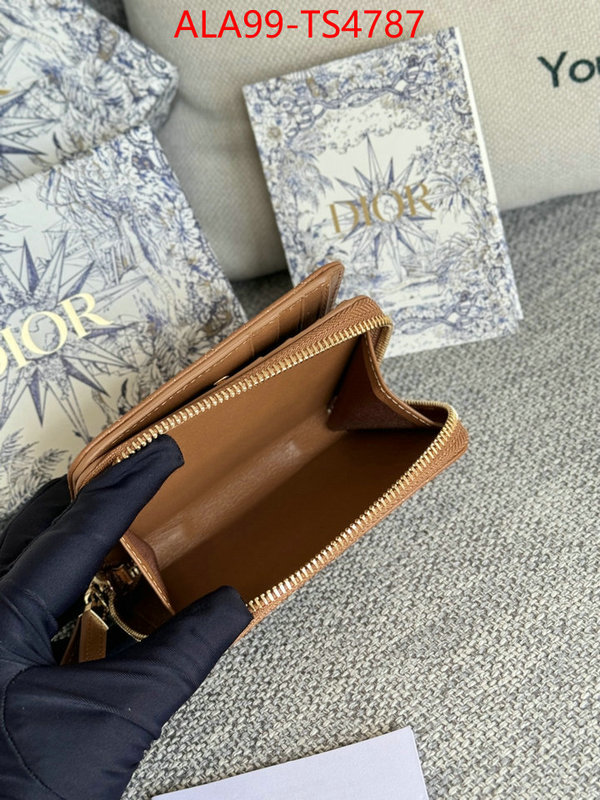ID: TS4787 $: 99USD,