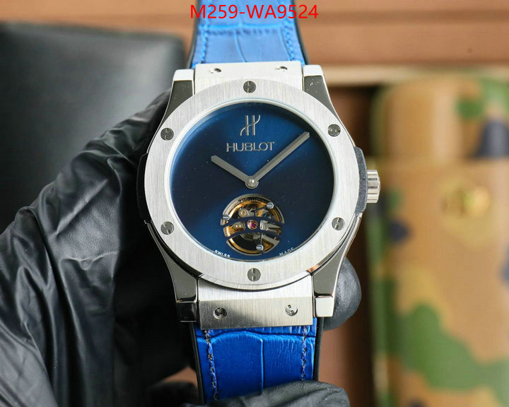 ID: WA9524