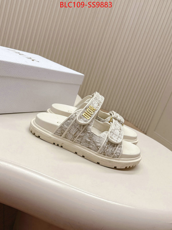 Women Shoes-Dior for sale online ID: SS9883 $: 109USD