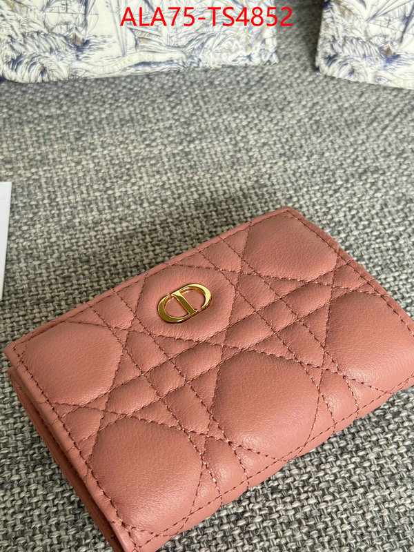 ID: TS4852 $: 75USD,