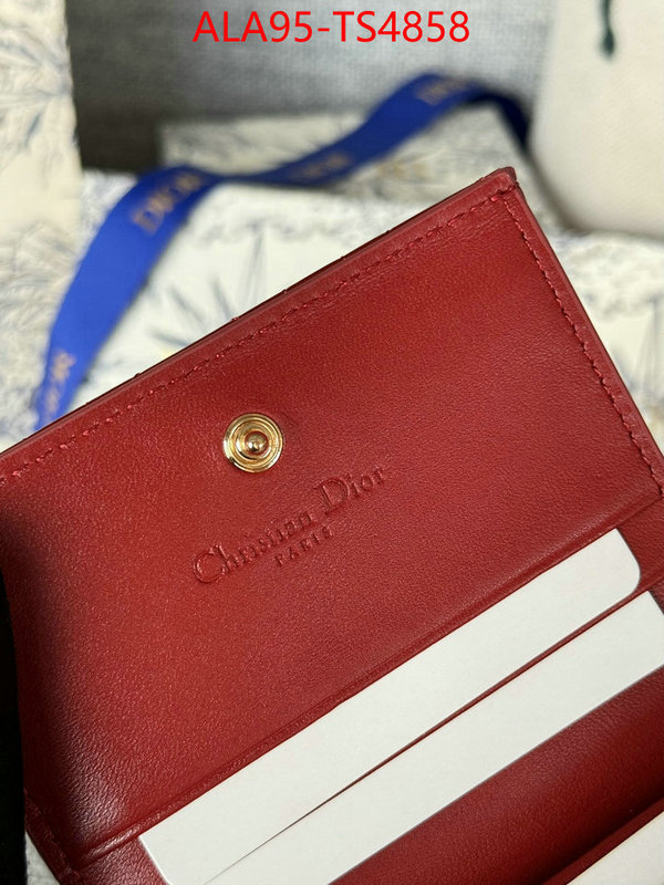 ID: TS4858 $: 95USD,