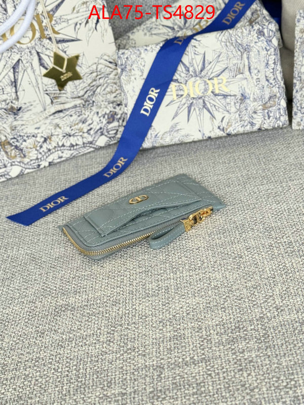 ID: TS4829 $: 75USD,