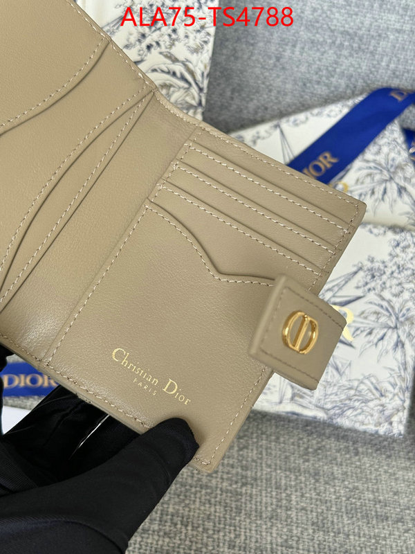 ID: TS4788 $: 75USD,