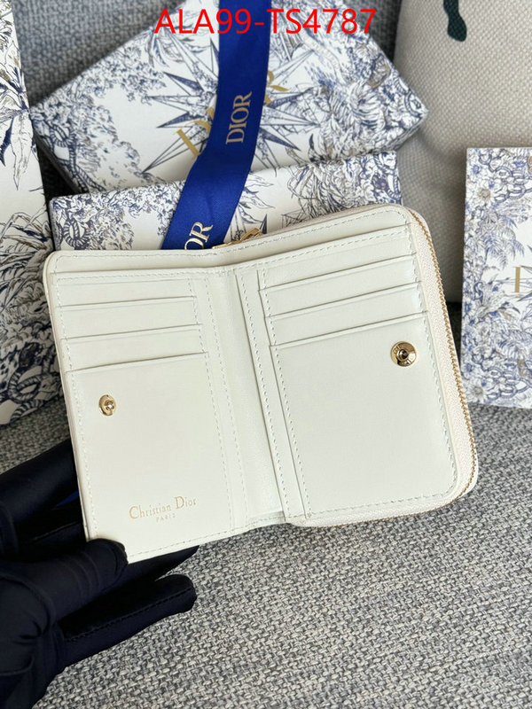 ID: TS4787 $: 99USD,