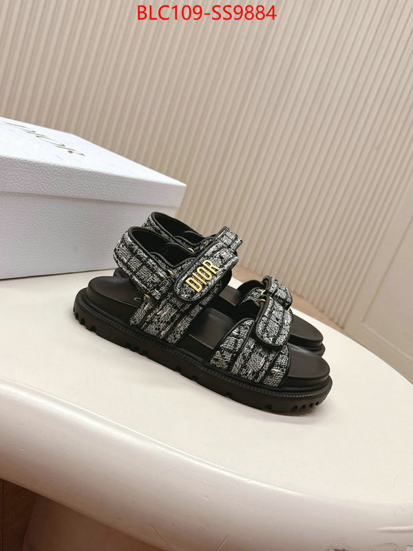 Women Shoes-Dior wholesale 2024 replica ID: SS9884 $: 109USD
