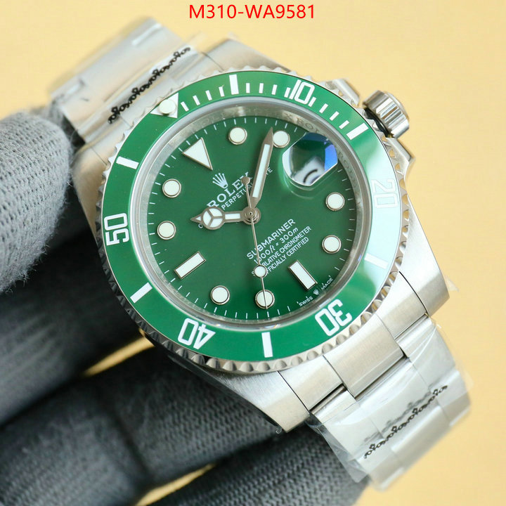ID: WA9581
