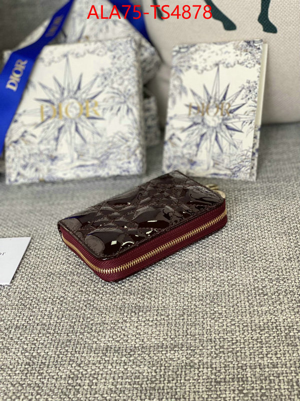 ID: TS4878 $: 75USD,