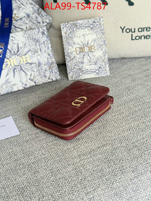 ID: TS4787 $: 99USD,