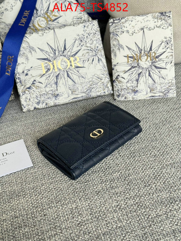 ID: TS4852 $: 75USD,