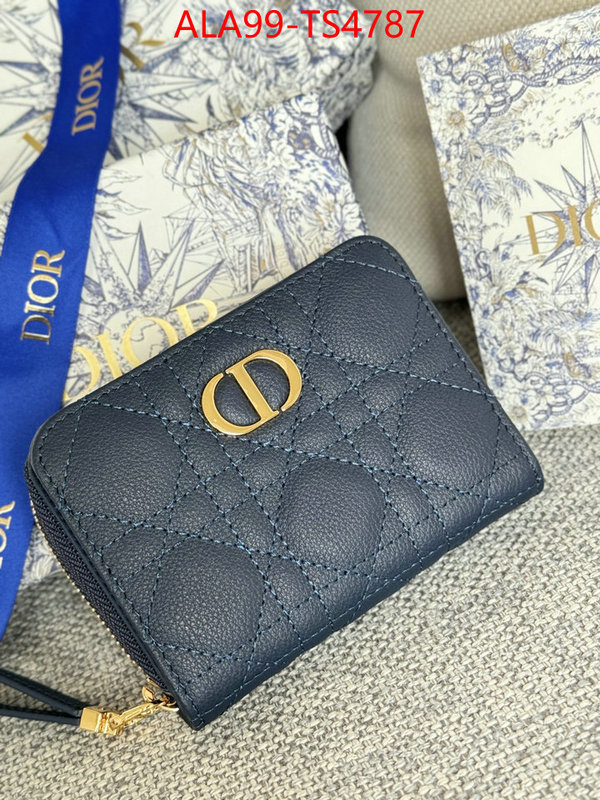 ID: TS4787 $: 99USD,