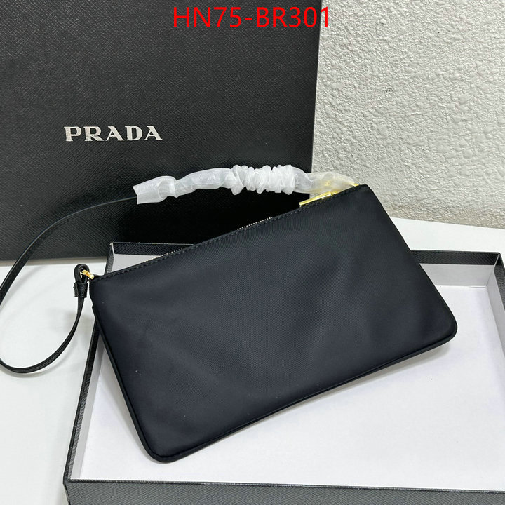 ID: BR301 $: 75USD,