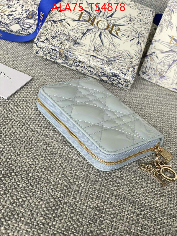 ID: TS4878 $: 75USD,