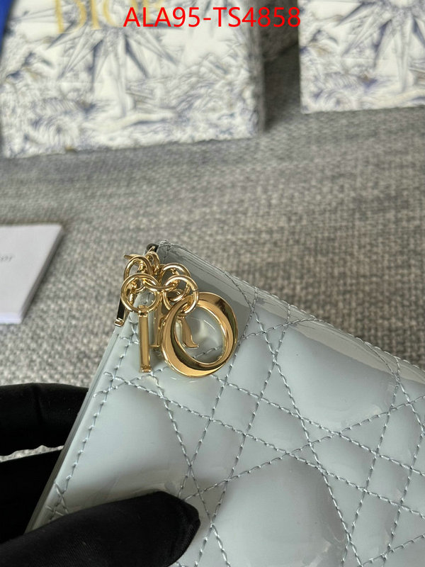 ID: TS4858 $: 95USD,