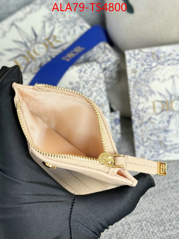 ID: TS4800 $: 79USD,
