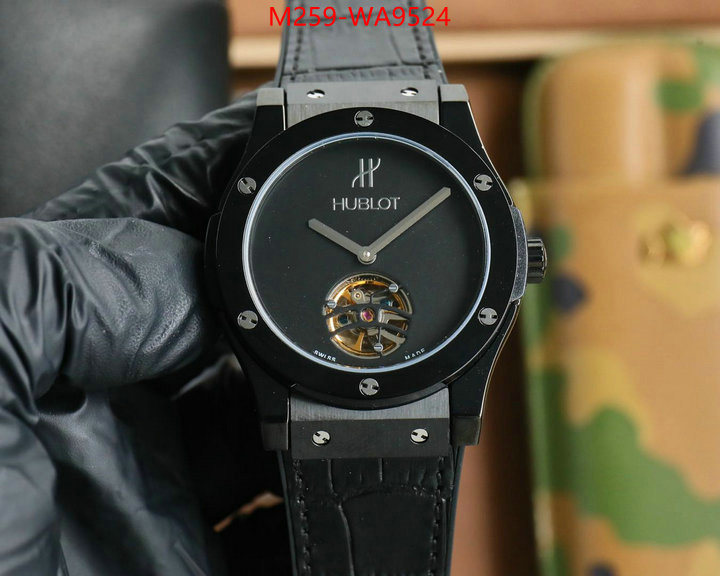 ID: WA9524
