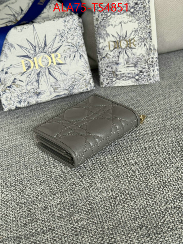 ID: TS4851 $: 75USD,