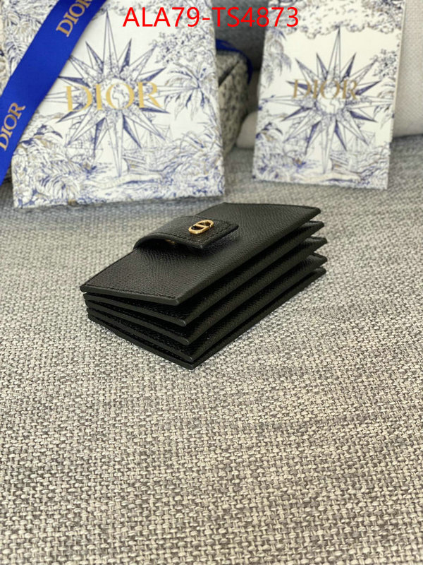 ID: TS4873 $: 79USD,