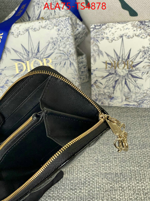 ID: TS4878 $: 75USD,