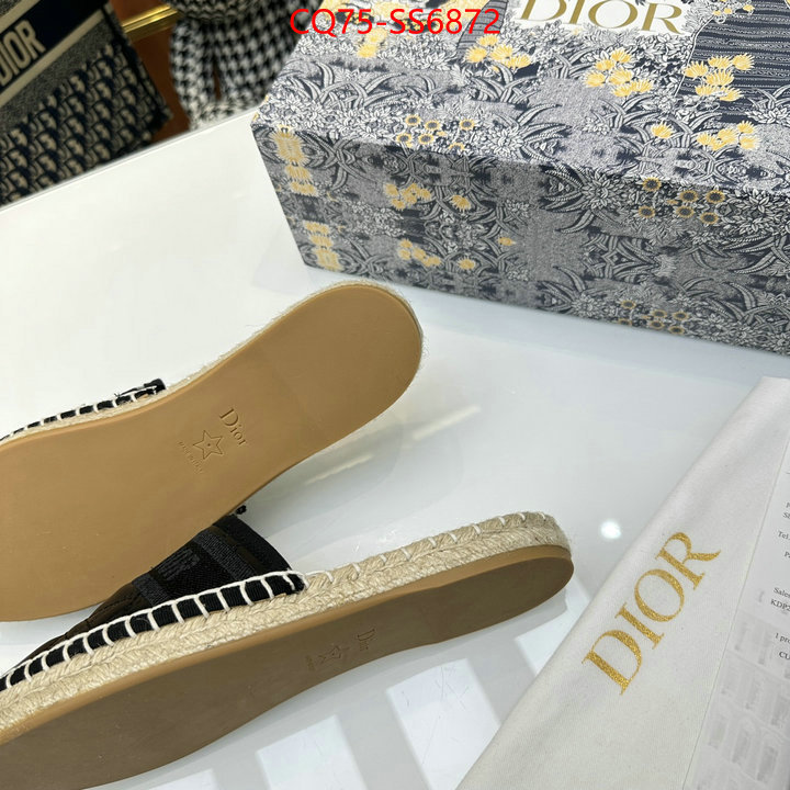what is a counter quality ID: SS6872