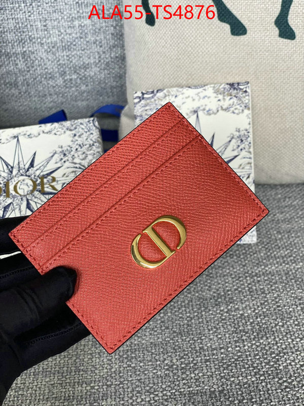 ID: TS4876 $: 55USD,