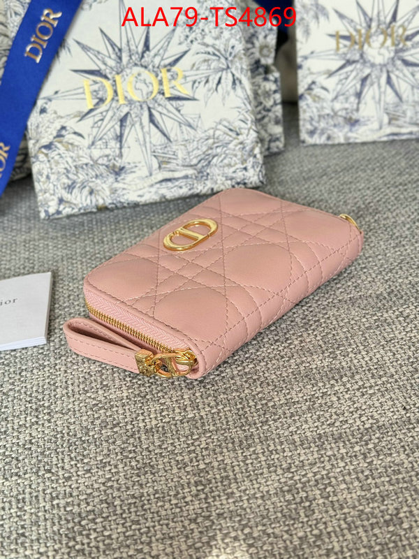 ID: TS4869 $: 79USD,