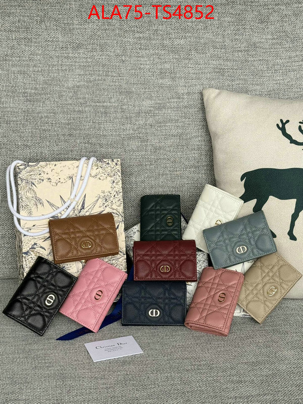 ID: TS4852 $: 75USD,