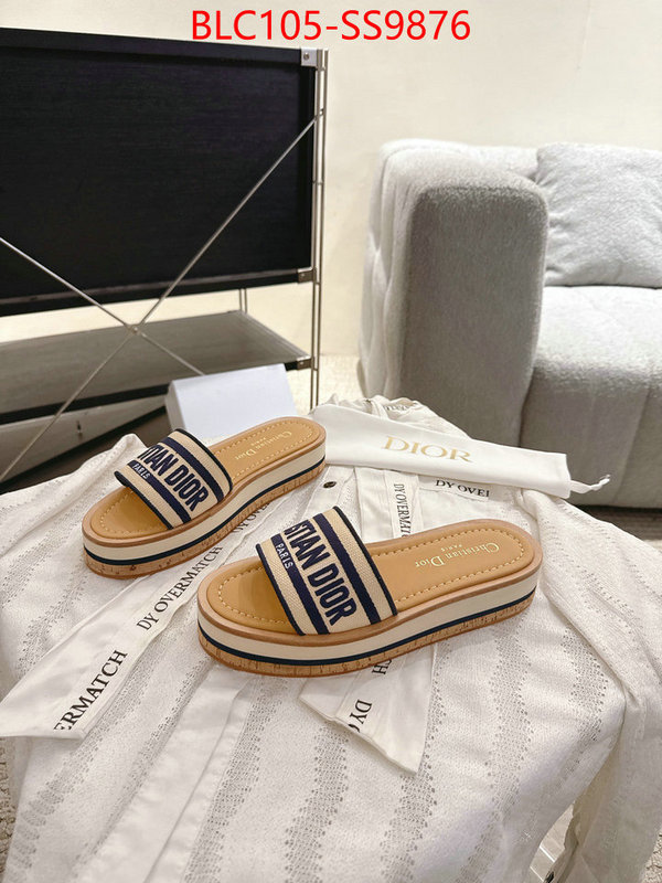 Women Shoes-Dior we provide top cheap aaaaa ID: SS9876 $: 105USD