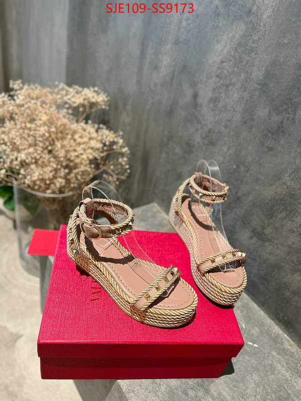 Women Shoes-Valentino buy online ID: SS9173 $: 109USD