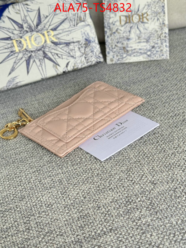 ID: TS4832 $: 75USD,