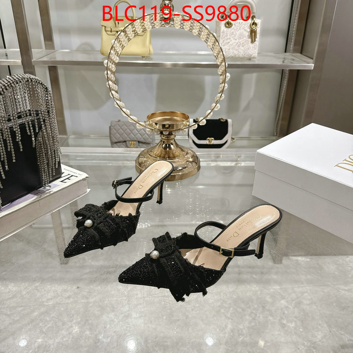Women Shoes-Dior store ID: SS9880 $: 119USD