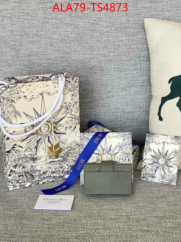 ID: TS4873 $: 79USD,