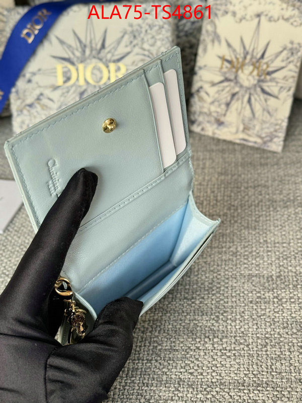 ID: TS4861 $: 75USD,